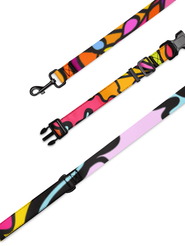 Vibrant Stripes Pet Collar & Leash Set - Wave at Sunset product image (4)