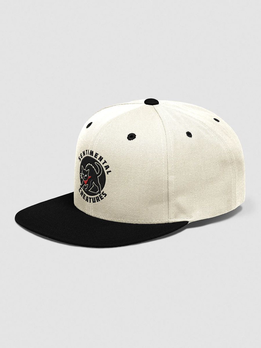 Embroidered Bandana Cat Logo Snapback product image (20)