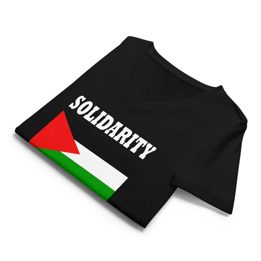 Solidarity Flag Fitted V-Neck T-Shirt product image (8)