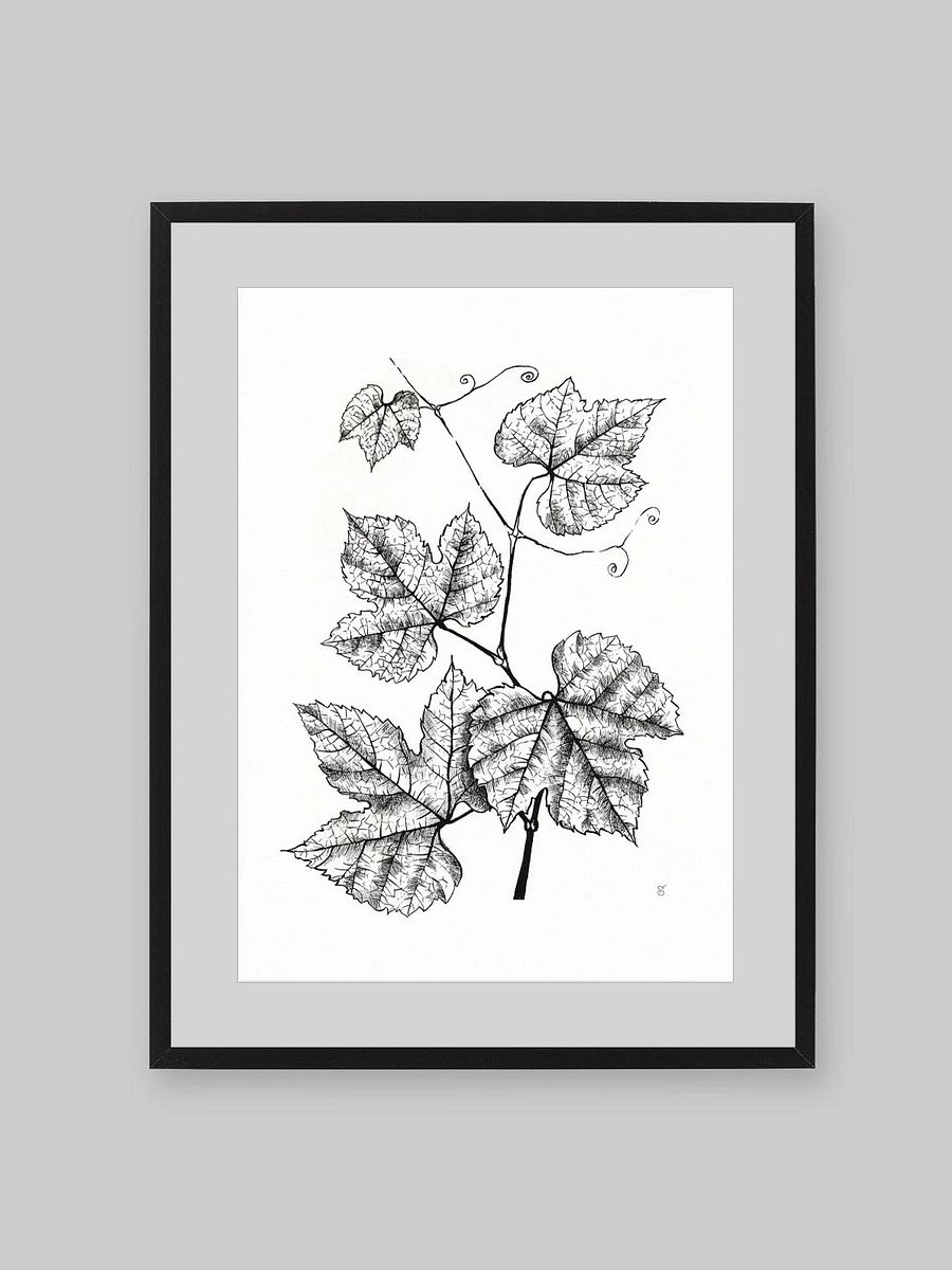 Enchanted Vine: Premium Matte Poster - Grape Leaves product image (10)