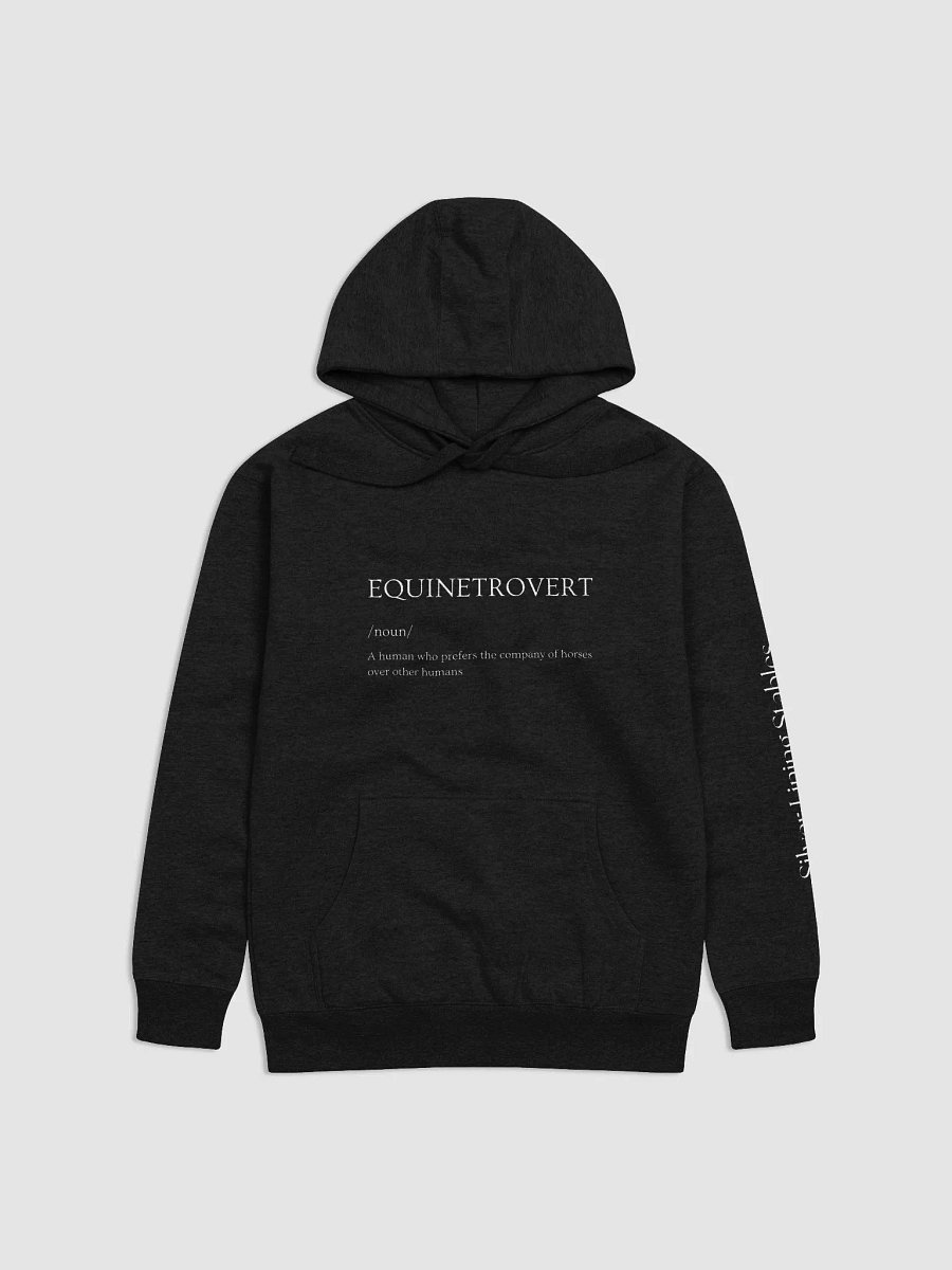 EQUINETROVERT Premium Hoodie product image (1)