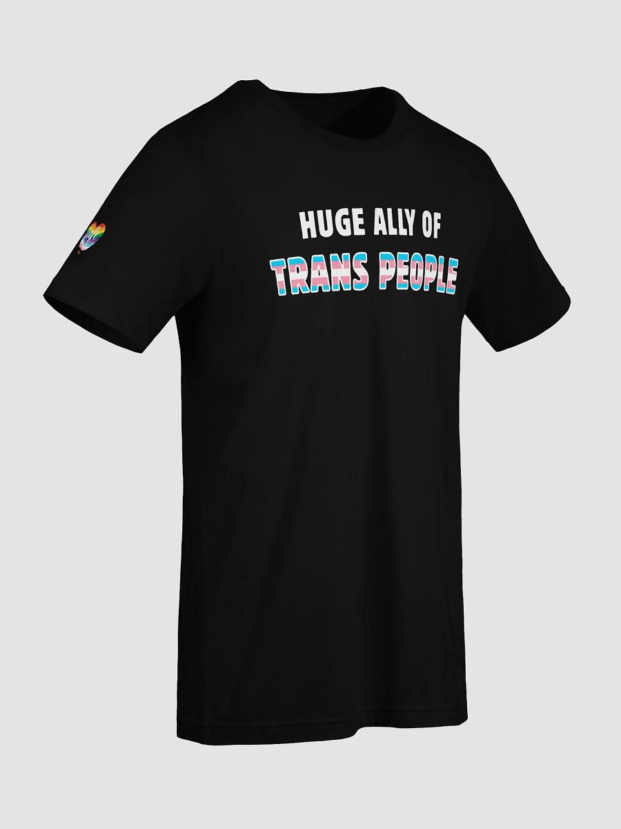 huge ally of trans people product image (77)