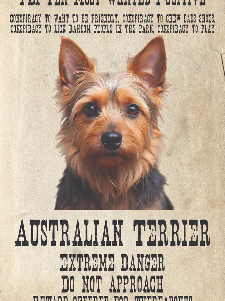 "The Notorious Australian Terrier" product image (1)