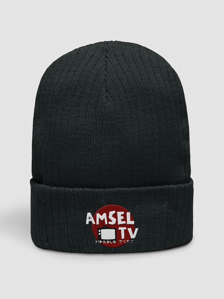 AmselTV Logo Beanie product image (1)
