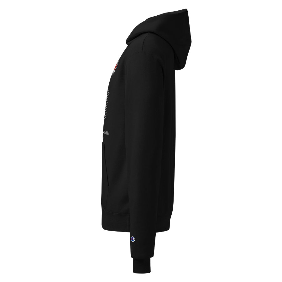 Sunlit Feathers Champion Hoodie product image (3)