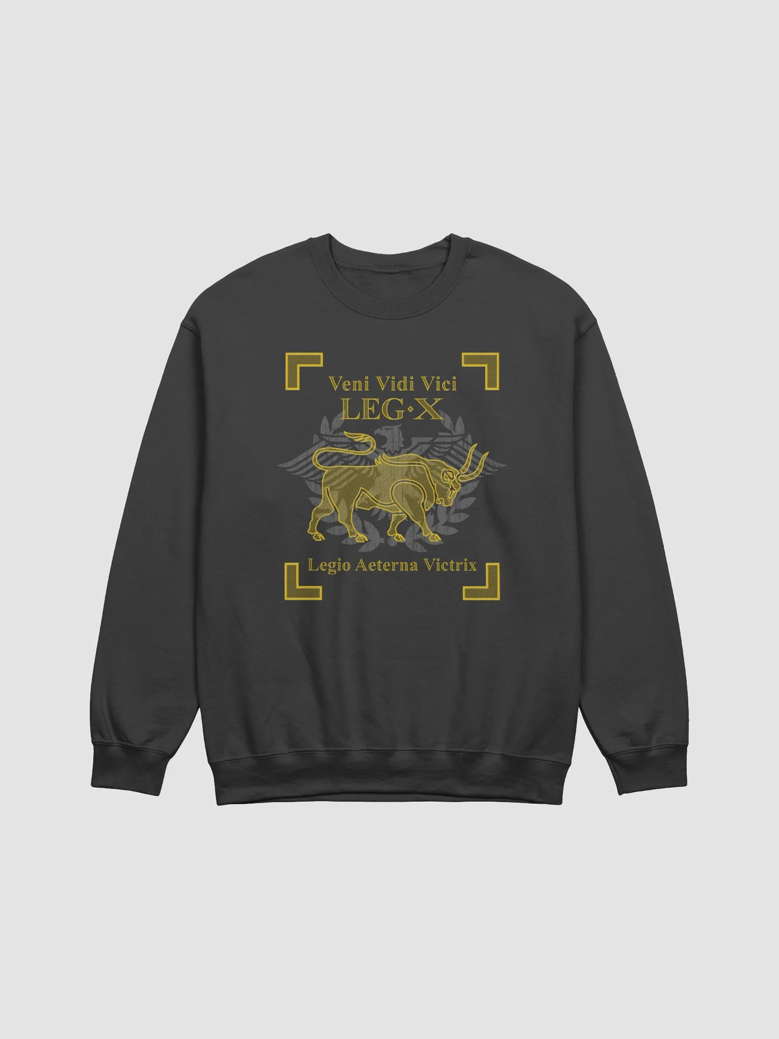Legion X - veni vidi vici - Sweatshirt product image (1)