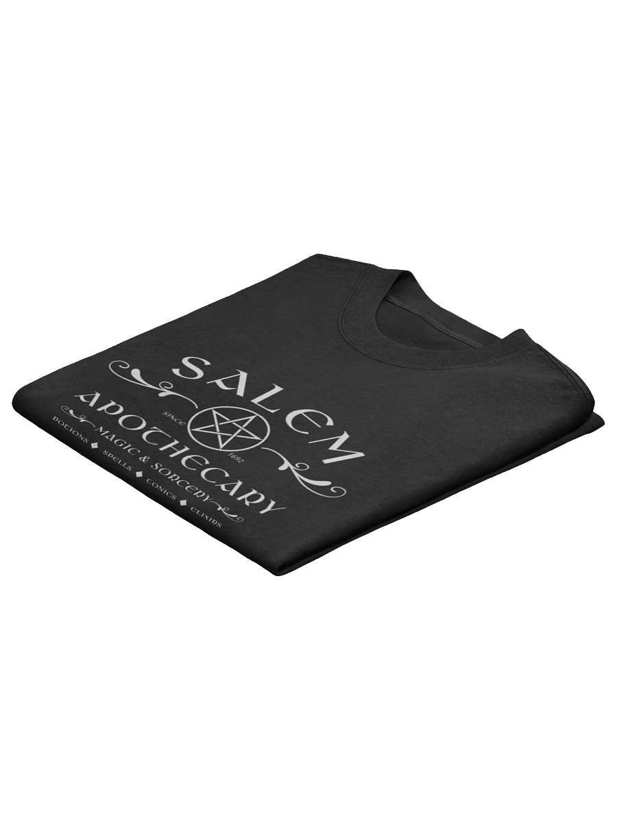 Salem Apothecary Faded Oversized T shirt product image (4)