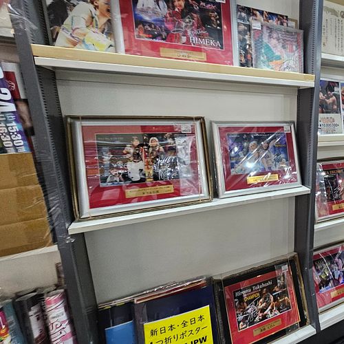 Japan vacation, days six and seven. Day six: simple and quick visits to Mikado arcade and Toudoukan, the number one pro wrest...