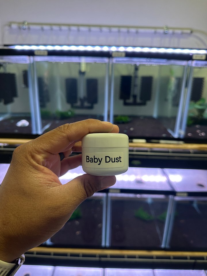 SHRIMP SANCTUARY BABY DUST 30G product image (1)