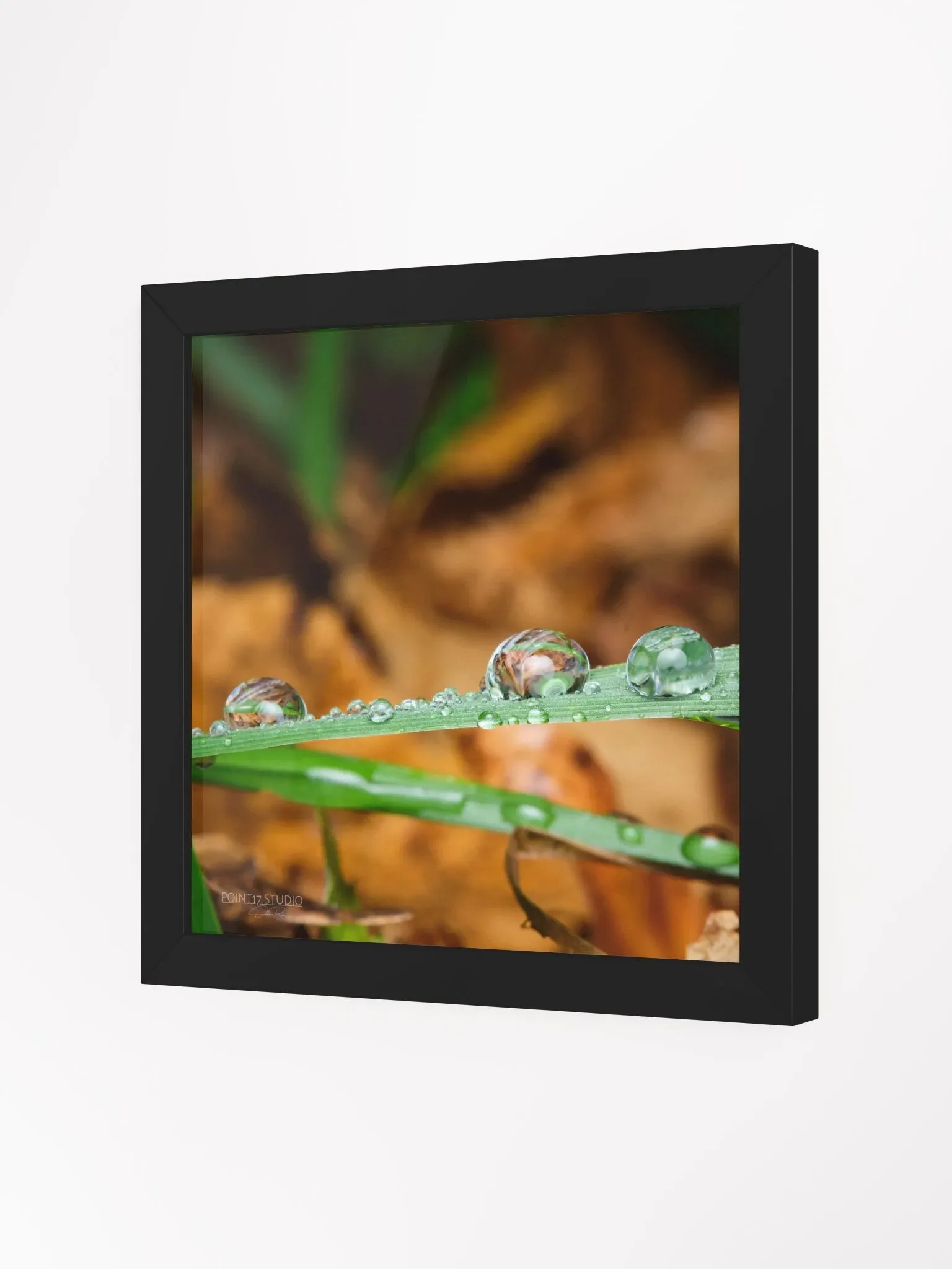 Dew Gems #11 - Framed Print product image (2)