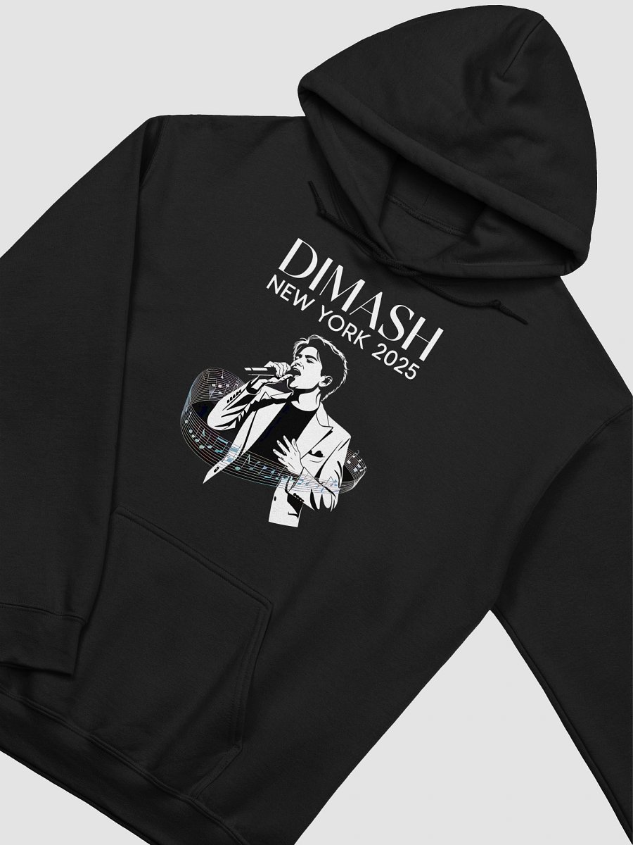 Singer From Kazakhstan Gildan Unisex Hoodie product image (4)