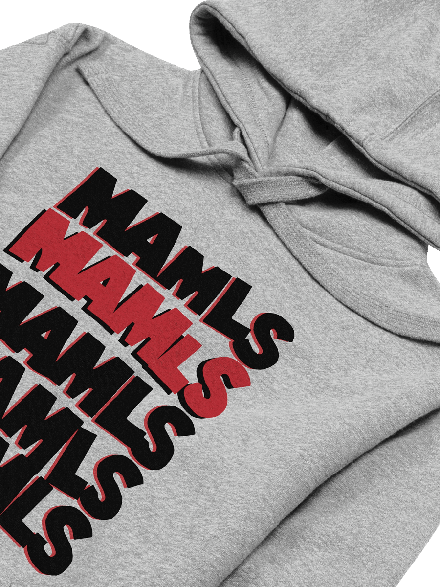 the Hoodie product image (3)