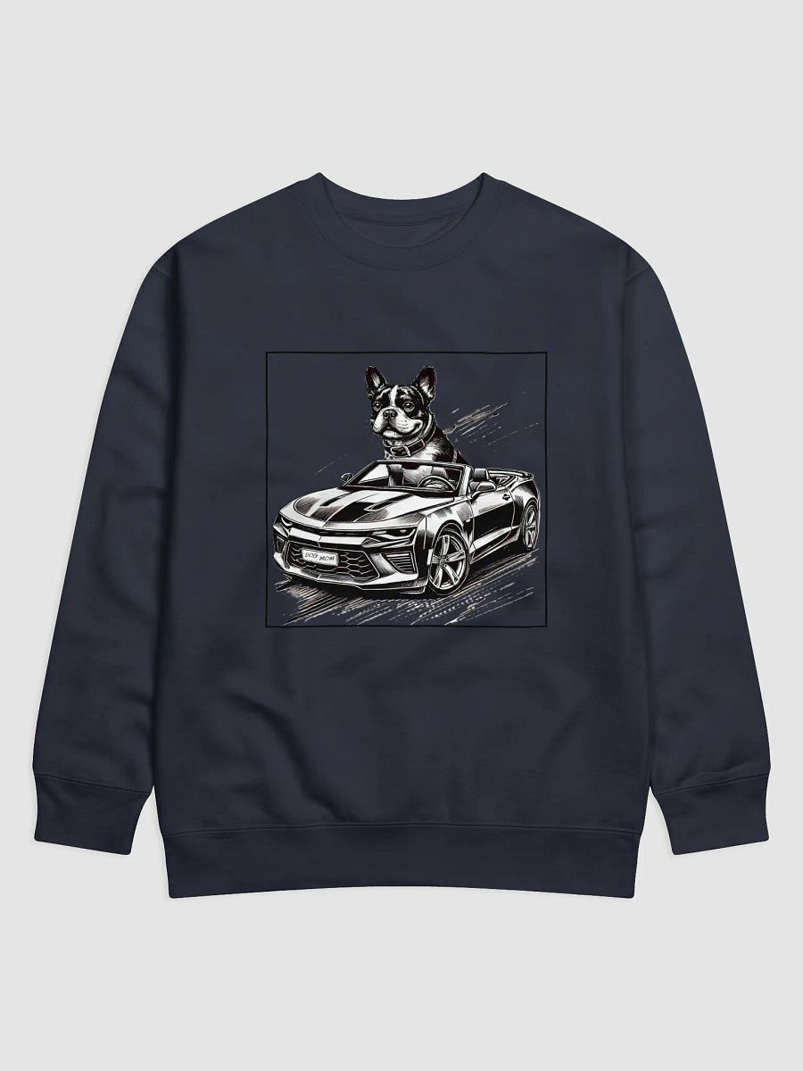 Boston Sweatshirt product image (7)