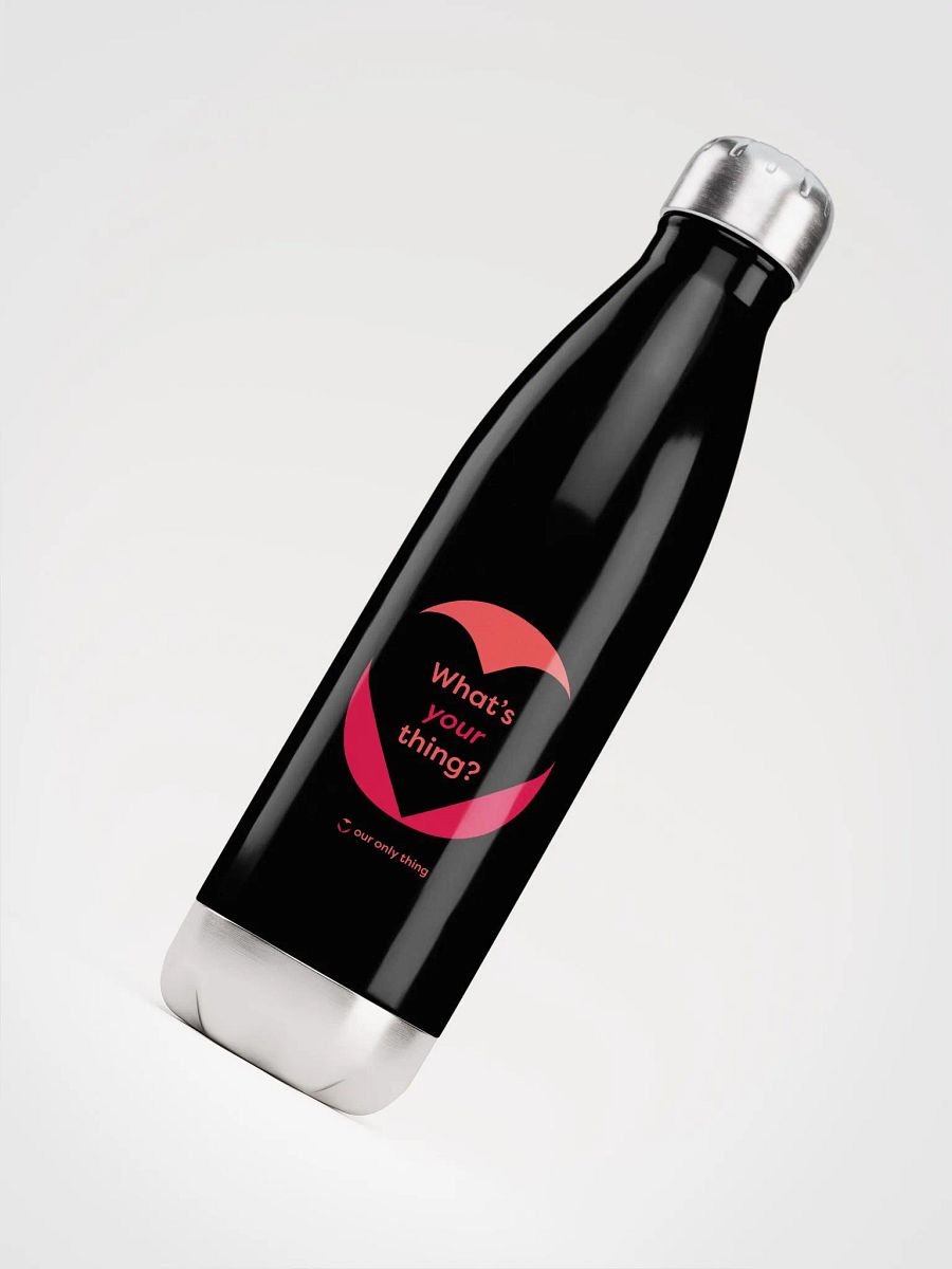 What's Your Thing 17oz Stainless Water Bottle product image (4)