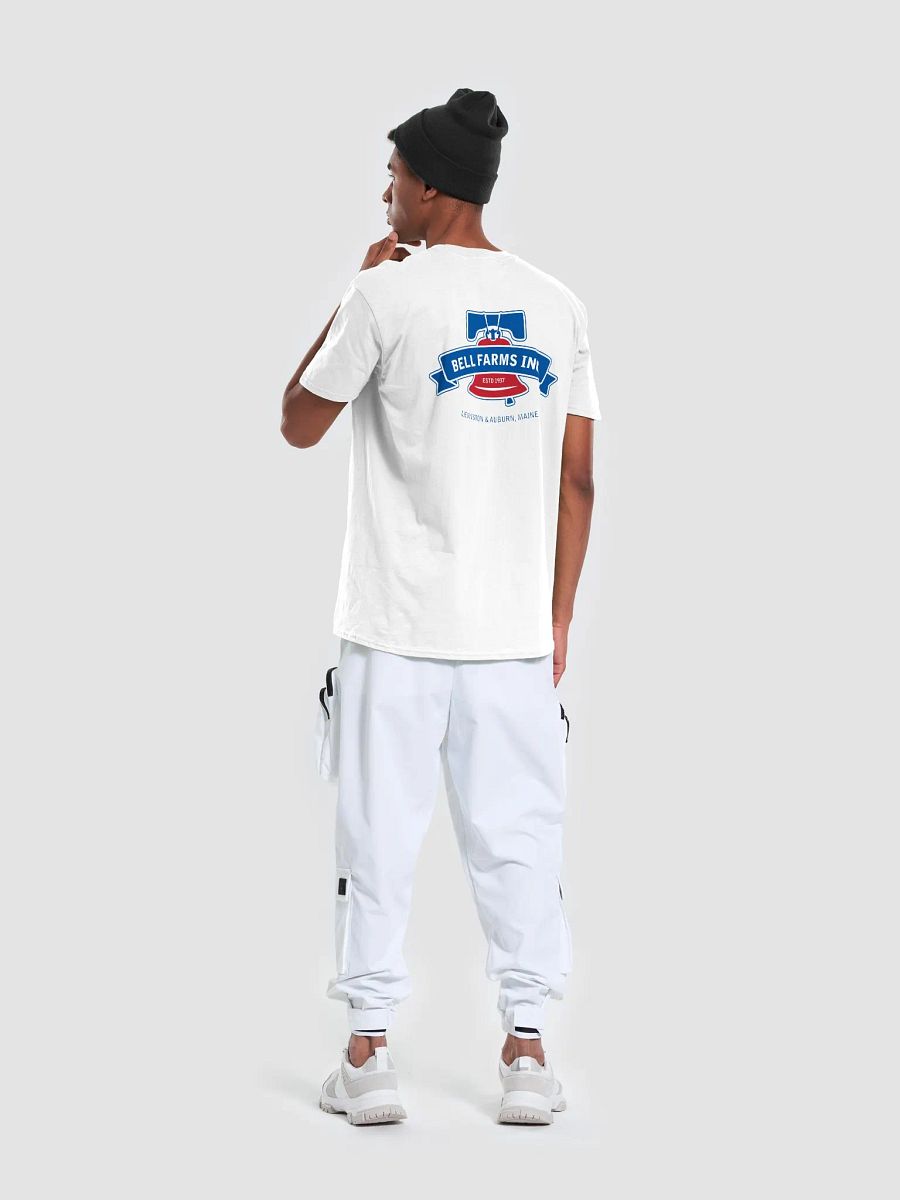Raymonds Shirt product image (6)