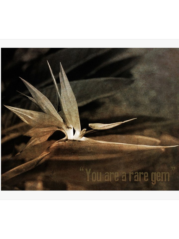 Vintage Sepia Bird of Paradise Photo. Botanical Wall Art, Nature Prints (Digital Download) product image (2)