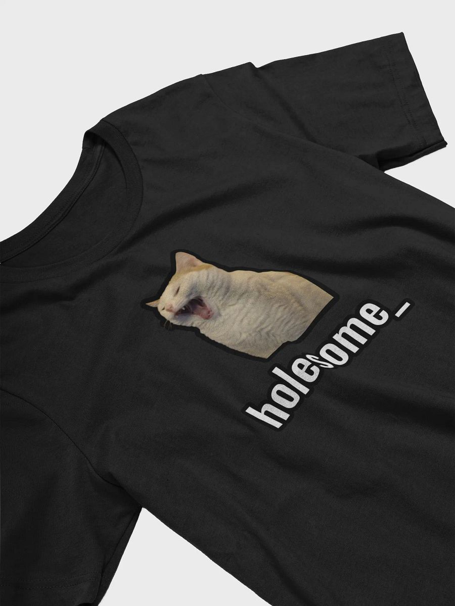 holesome Nico T Shirt product image (35)