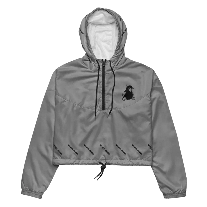 Perspective(Windbreaker cropped) product image (2)