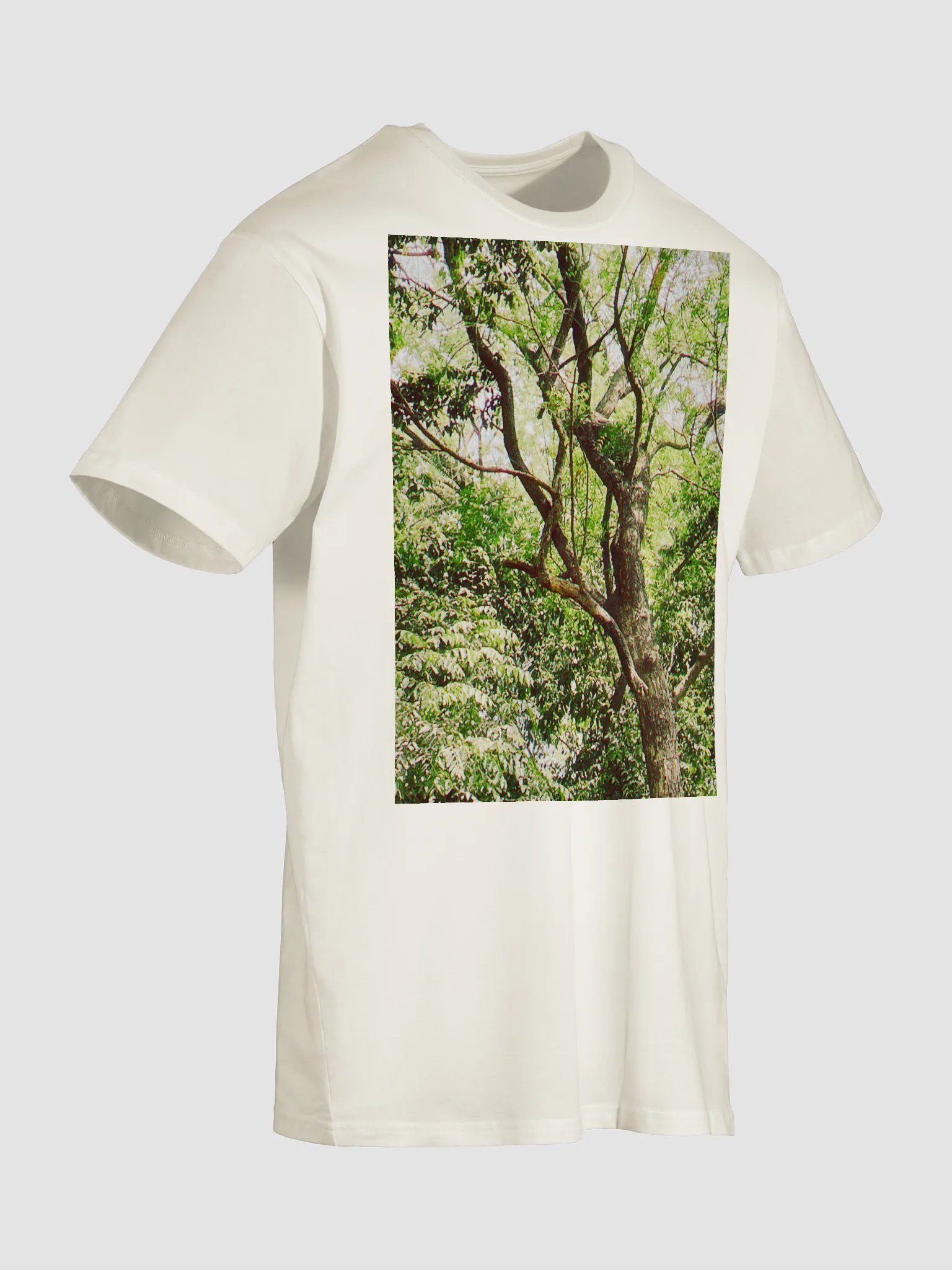 EARTH TONE DIVINE MUSIC TEE product image (7)