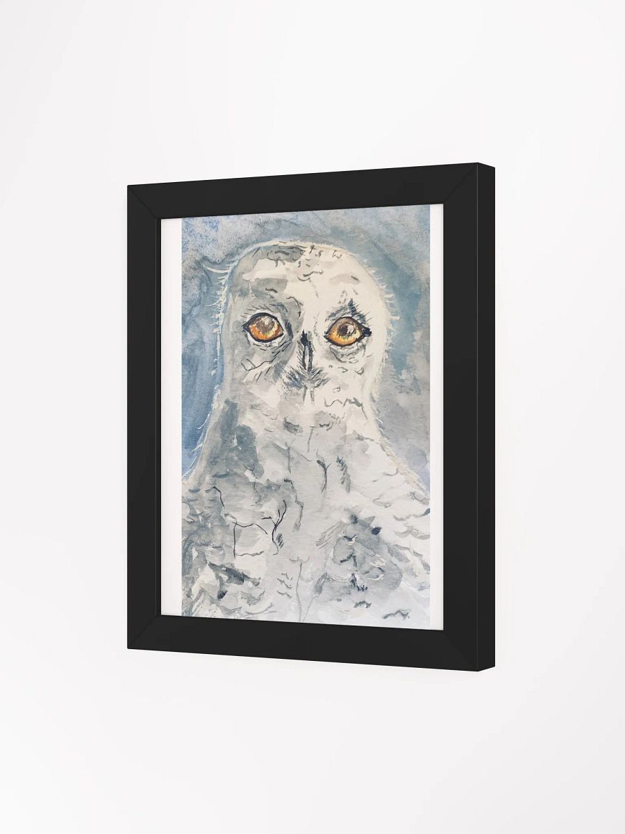 White Owl product image (9)