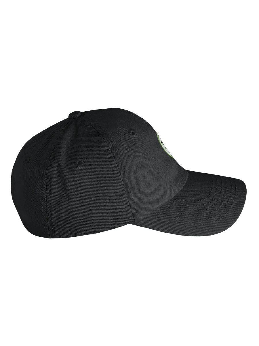 The Go-Go Crew Gweebo Logo Cap | Kids' Apparel product image (8)