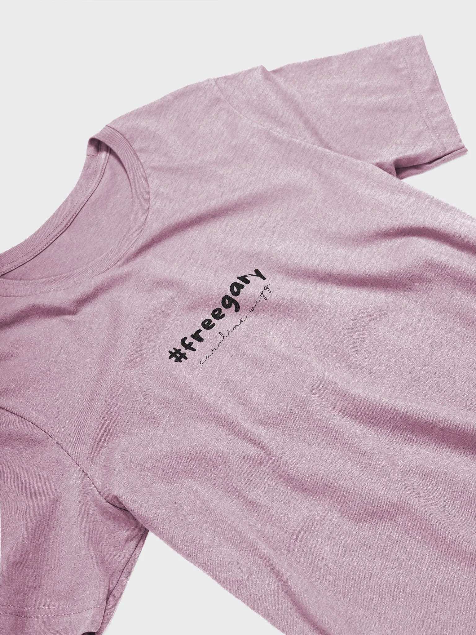 Free Gary T Shirt - Light Colours product image (29)