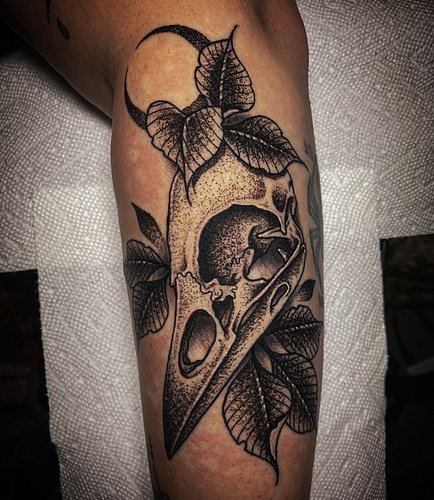Birds skulls always welcome 🙏