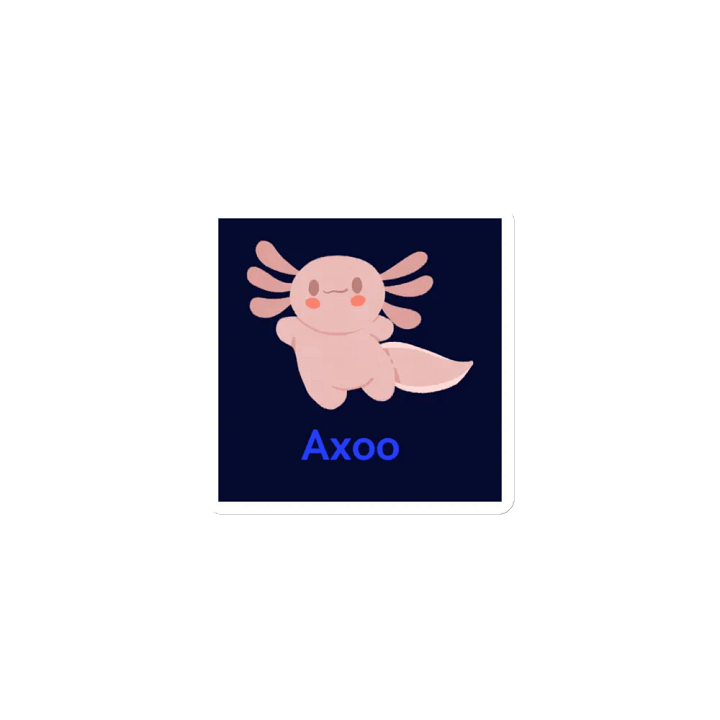 aimant AXOO product image (1)