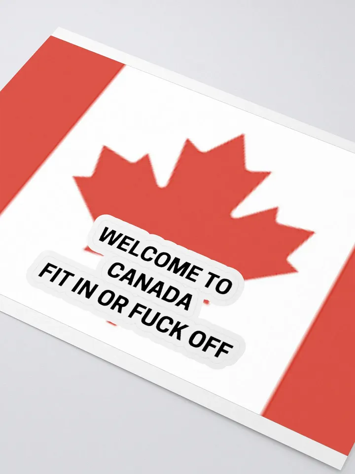 Canadian Pride Sticker Sheet FIT IN OR F*CK OFF product image (2)