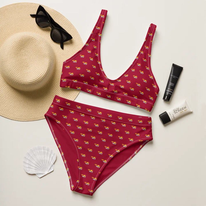 MSLA Red High Waisted Bikini product image (1)