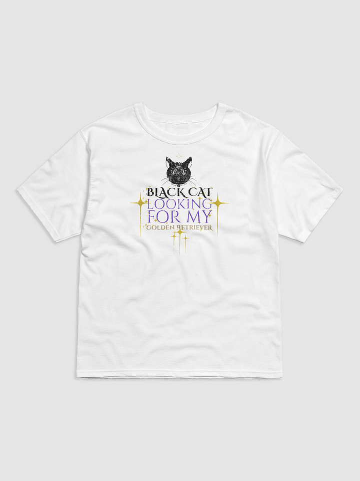 Black Cat Energy Champion T-Shirt product image (1)