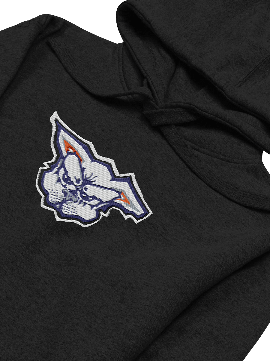 Team Schmungus Big Embroid Cotton Hoodie product image (3)