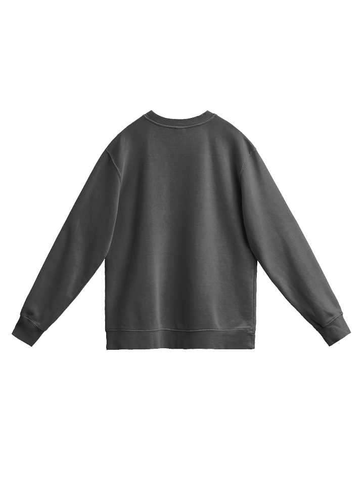 Trust Club Vintage Pigment Dyed Sweatshirt Especially for the Ladies product image (18)