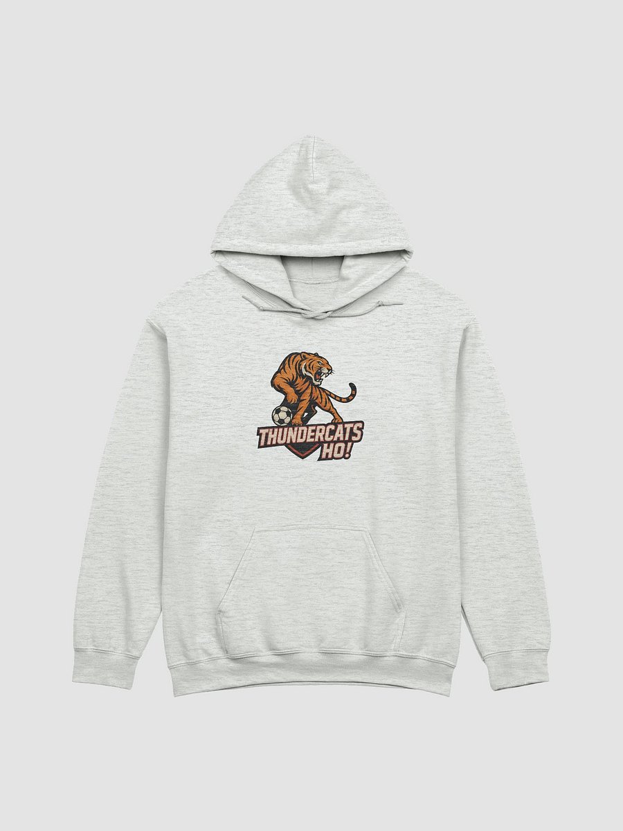 Thundercats Ho! Tiger Soccer Hoodie product image (3)