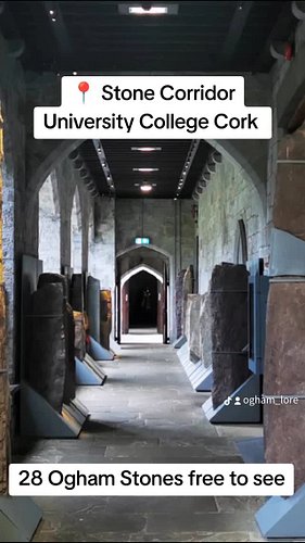 Exploring the mysterious Stone Corridor at UCC Cork — where history whispers through every carved stone. Step back in time an...