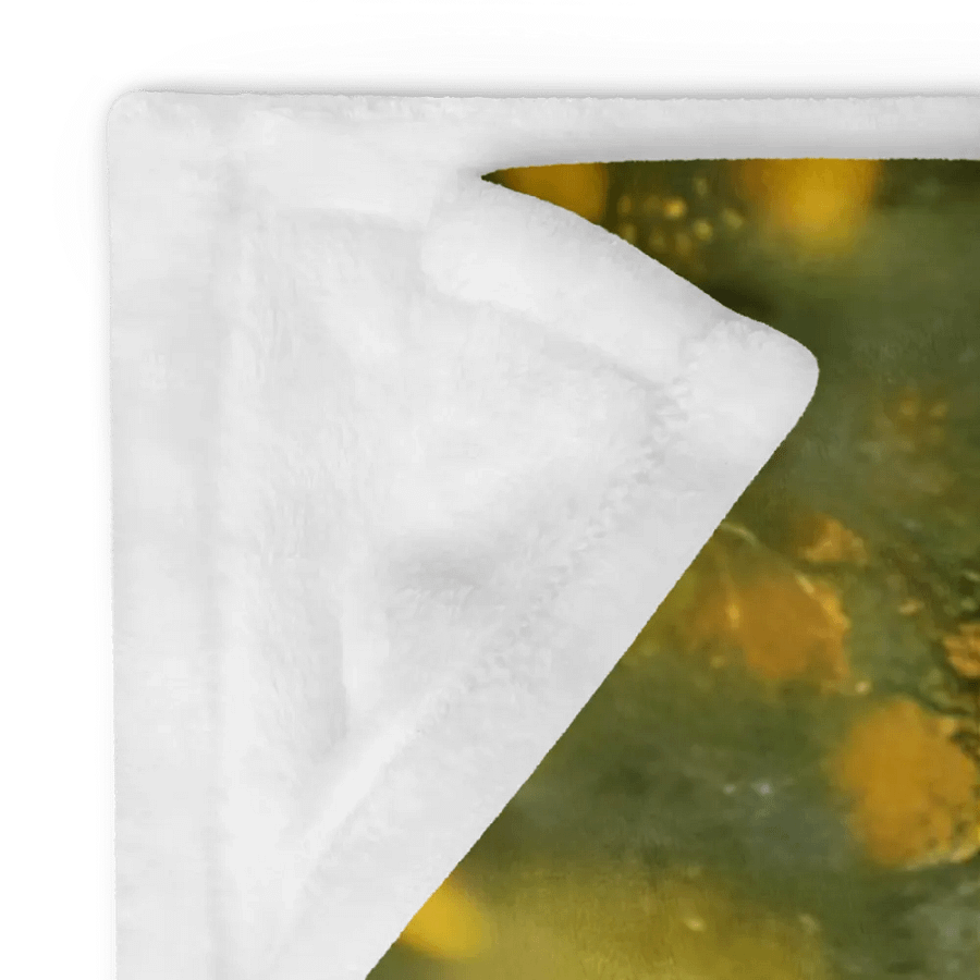 Pioneer Woman Throw Blanket product image (12)