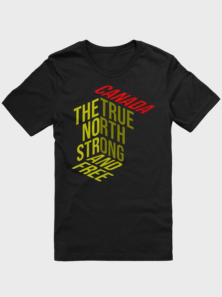 True North Stylized T-Shirt product image (32)
