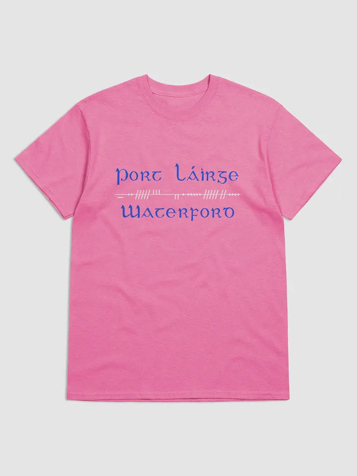 Waterford/Port Láirge Scholastic style Ogham Printed T-shirt product image (1)