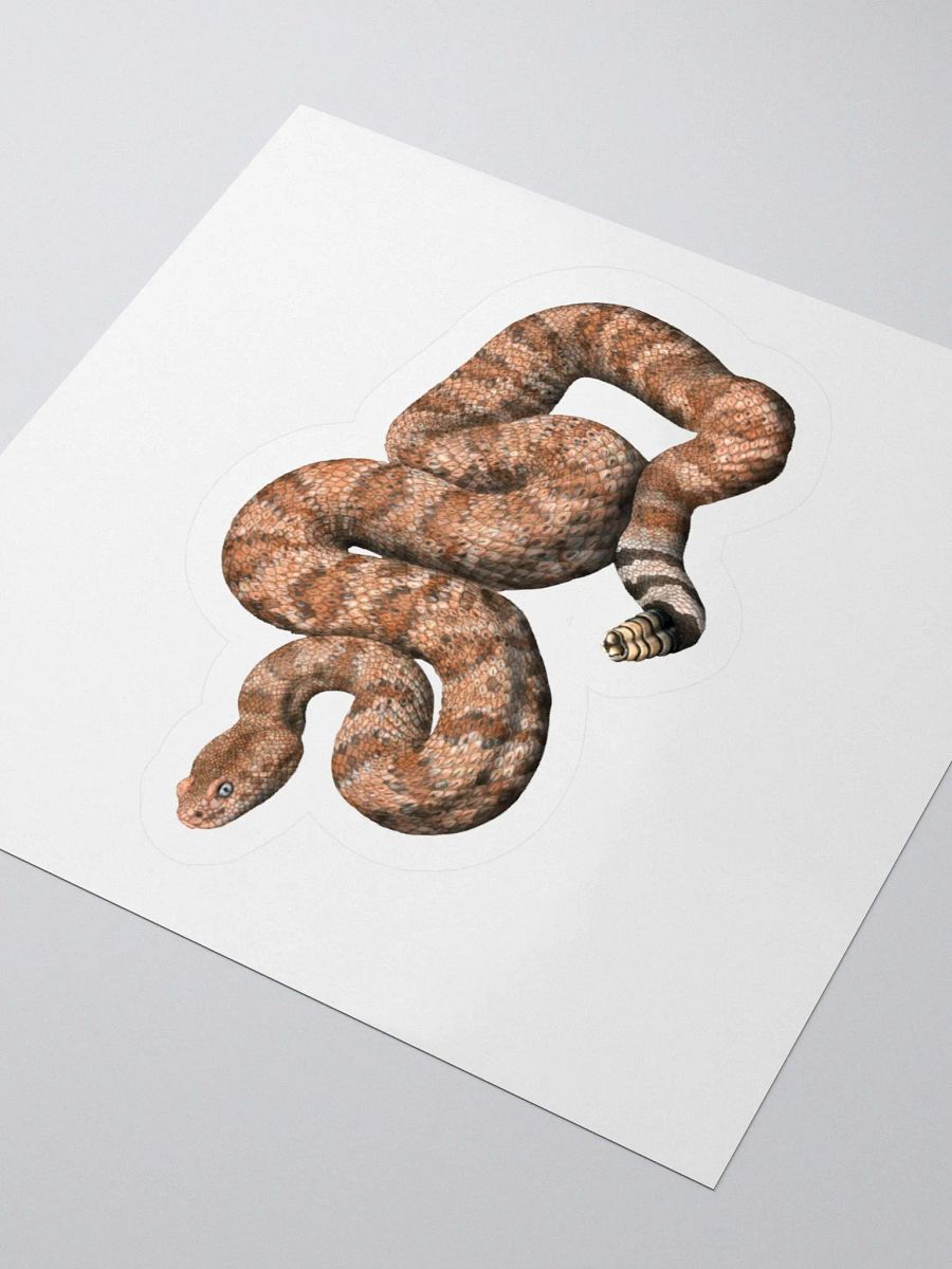 Die-Cut Sticker – Speckled Rattlesnake (Orange) product image (3)