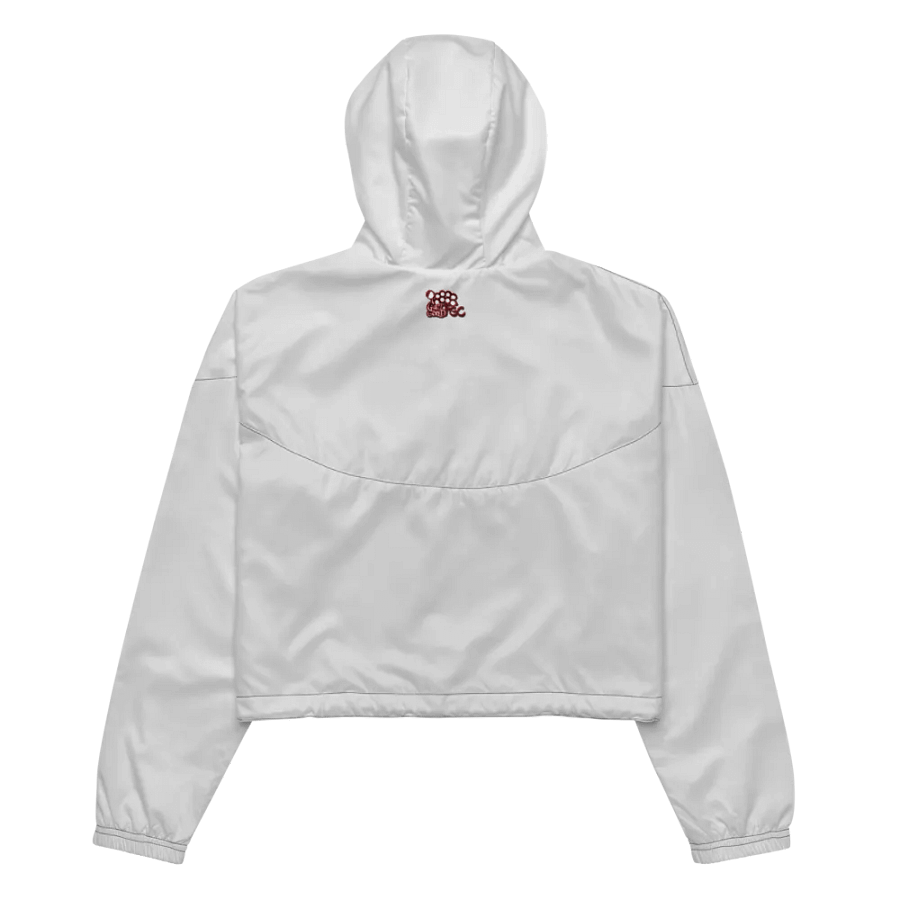 GetGood - Cropped Windbreaker product image (11)