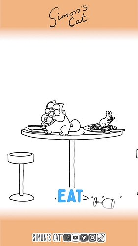 Meow 
Eat
Play
Sleep
Repeat