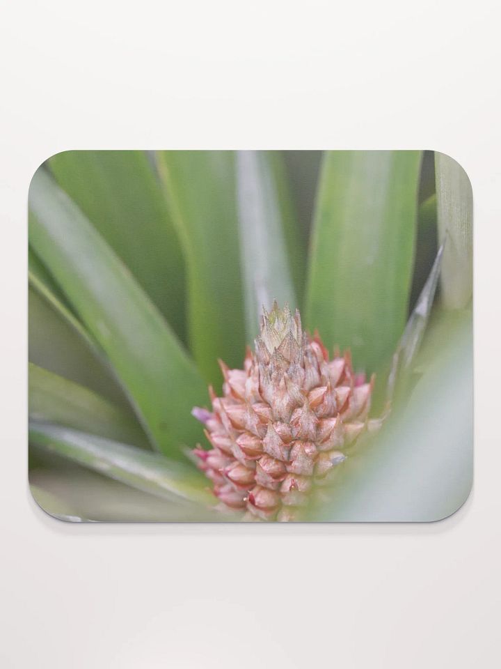 Pineapple Mouse Pad product image (2)
