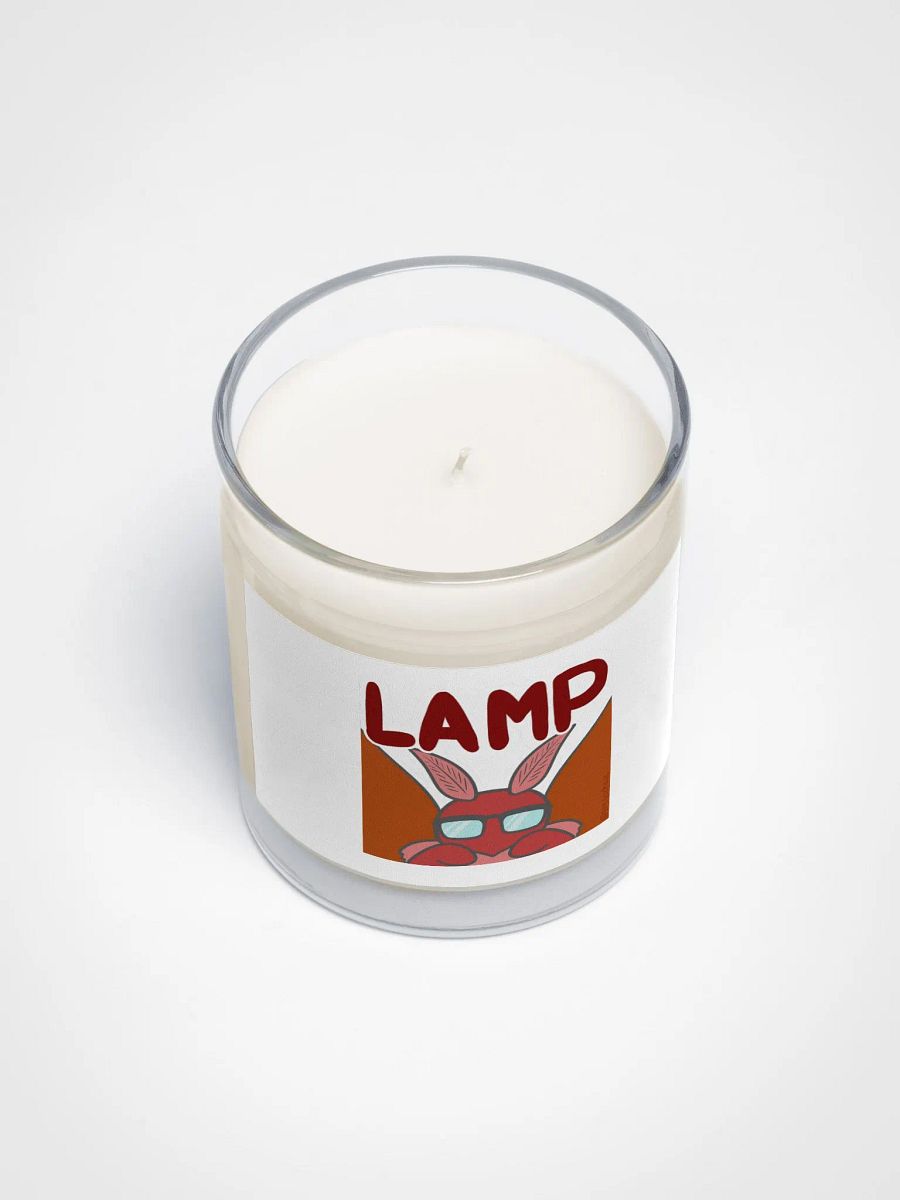 The original LAMP product image (3)