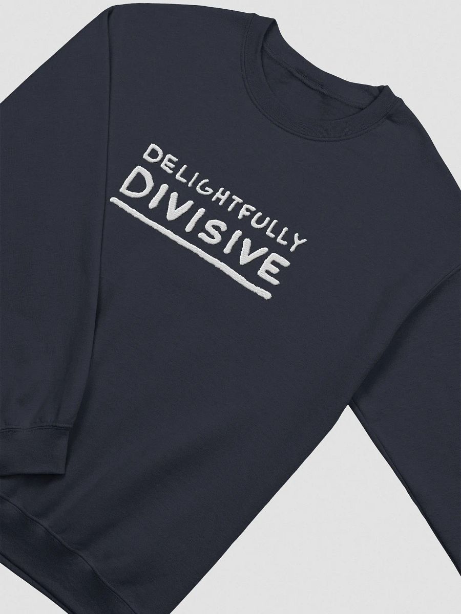 DELIGHTFULLY DIVISIVE (lg., white design) embroidered crewneck product image (19)