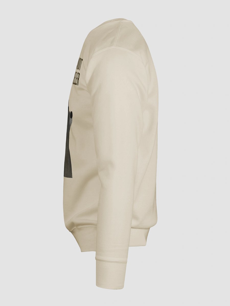 Trash Bandit Time Traveler - Premium Sweatshirt product image (6)