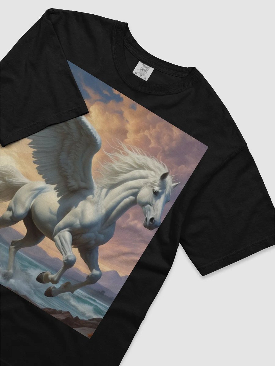 Pegasus product image (21)