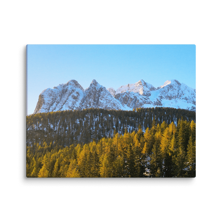 Dolomites – Golden Forest product image (2)