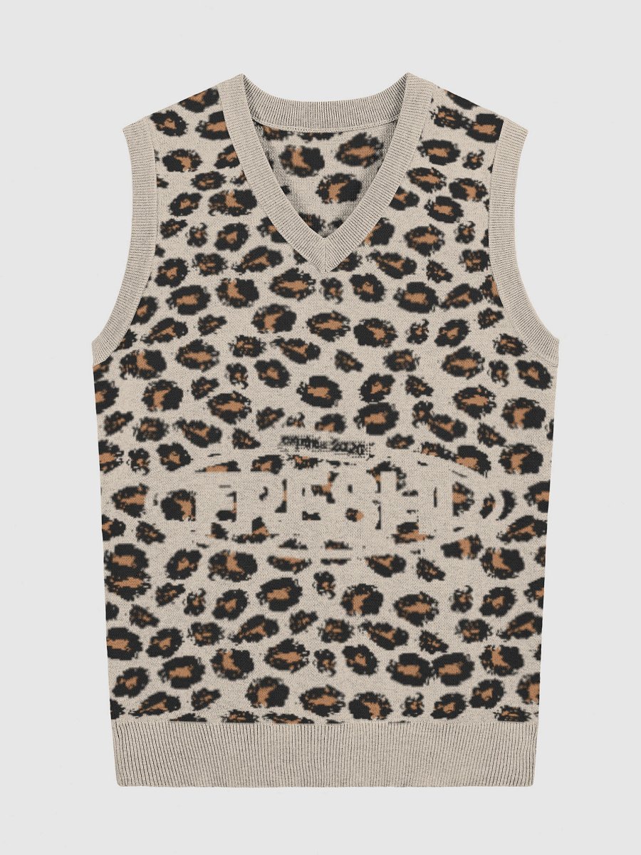 Freshi Simple Leopard V-Neck Sweater product image (4)