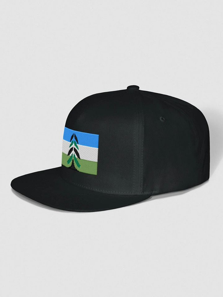 Pixel Chevron Cascadia Snapback Cap product image (8)