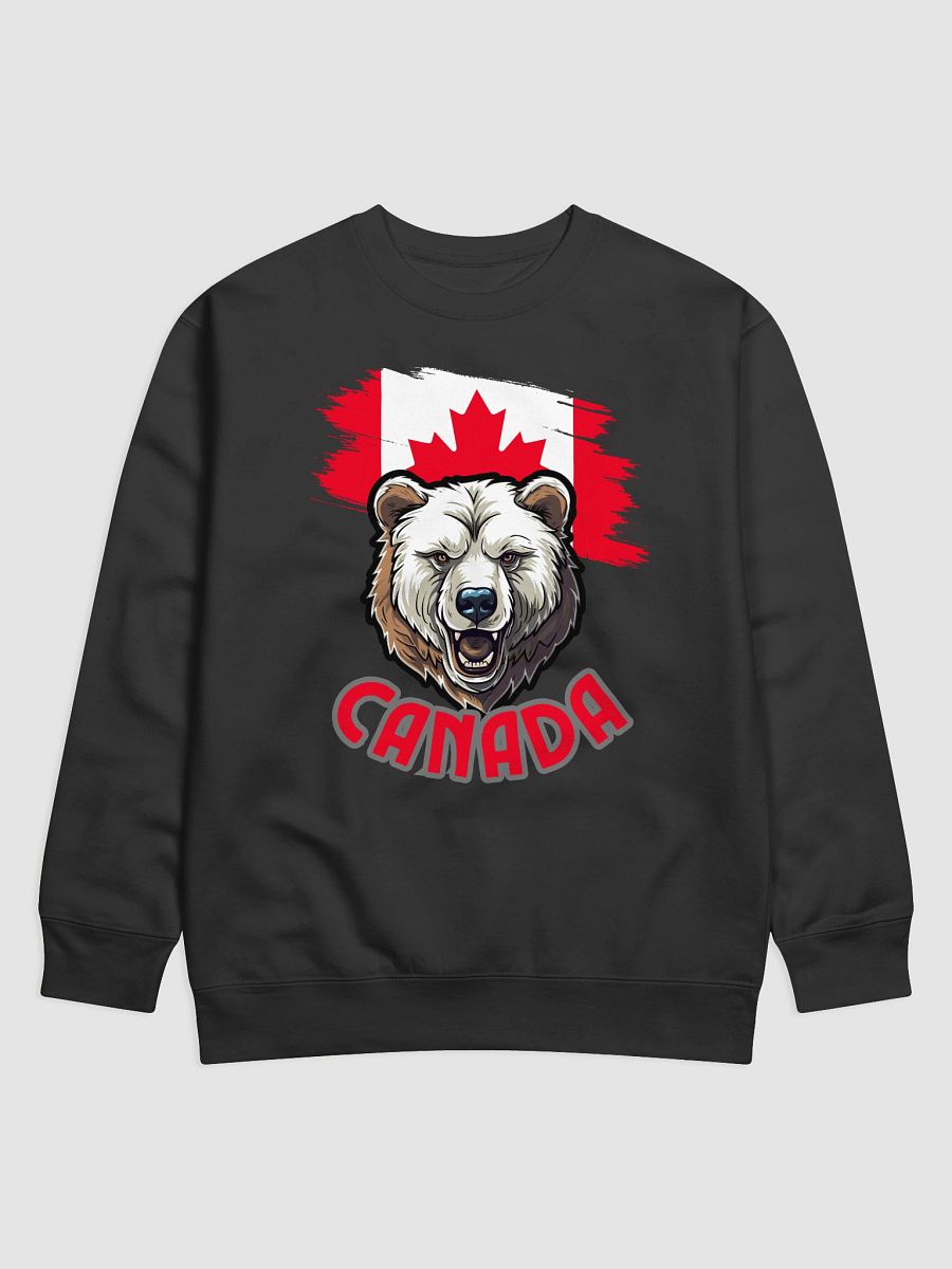 Vintage Americana Premium Sweatshirt product image (4)